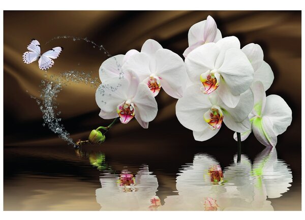 Tapéta orchidea és lepke
