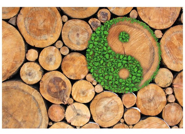 Fotótapéta Jin és Jang természetes kivitelben