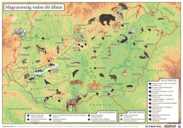 Könyökalátét, kétoldalas, A3, STIEFEL Magyarország vadon élő állatai / Magyarország állatvilága (VTKA304)