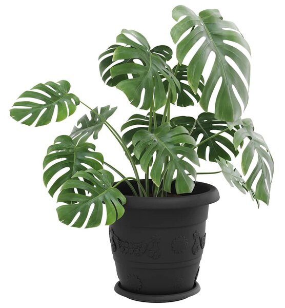 Kerek Virág Tálca 24 pcs Fekete Ø 23,5 x 2,5 cm Műanyag