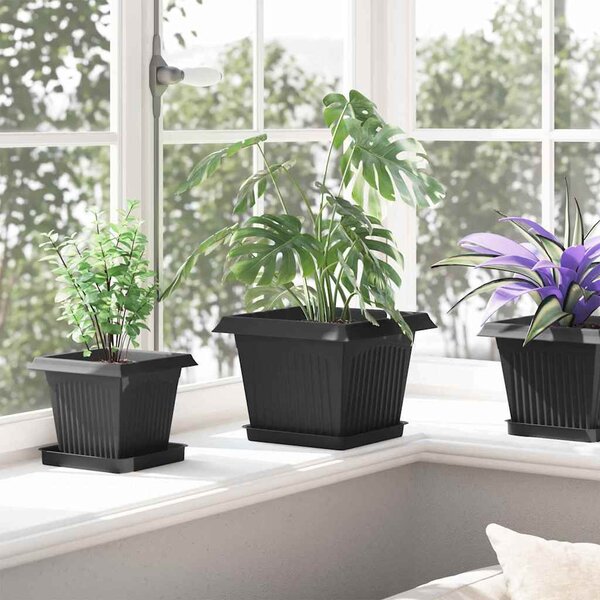 Négyzetes Virágtálca 6 pcs Fekete 18 x 18 x 2 cm Műanyag