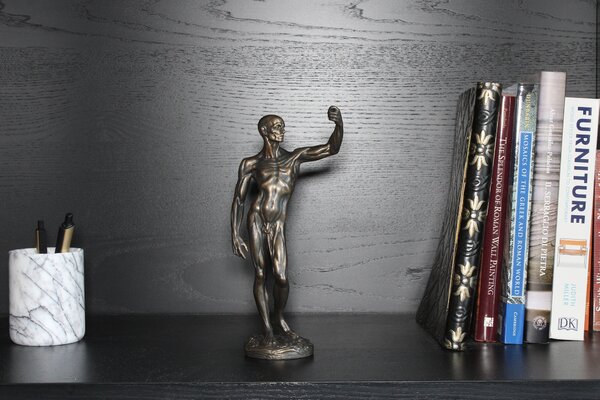 Anatómiai Tanulmány (Hideg öntvény bronz szobor)