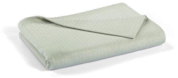 Zöld pamut ágytakaró franciaágyra 240x260 cm Lines - Mijolnir