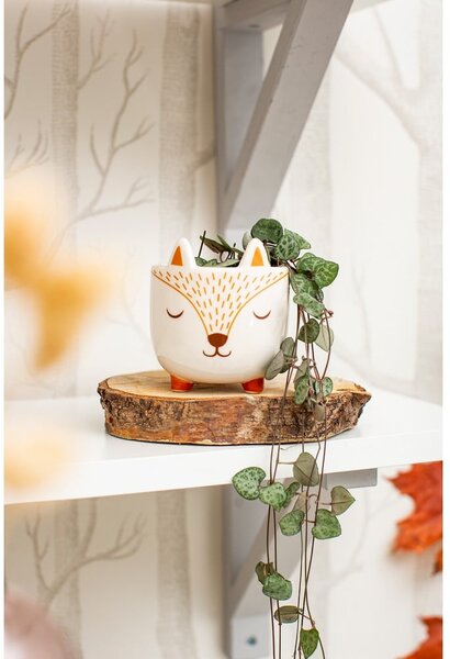 Kő kaspó ø 7 cm Woodland Fox – Sass & Belle