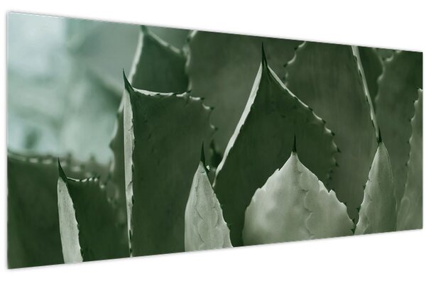 Kép - Zöld agávé (120x50 cm)