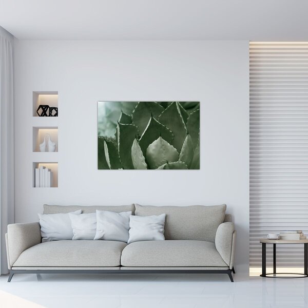 Kép - Zöld agávé (90x60 cm)