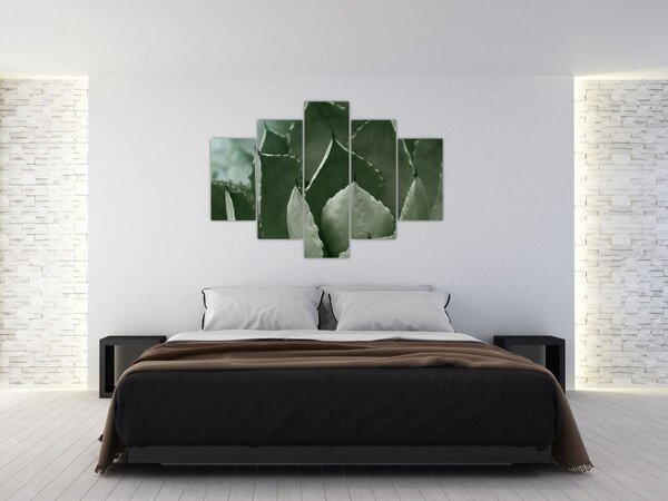 Kép - Zöld agávé (150x105 cm)