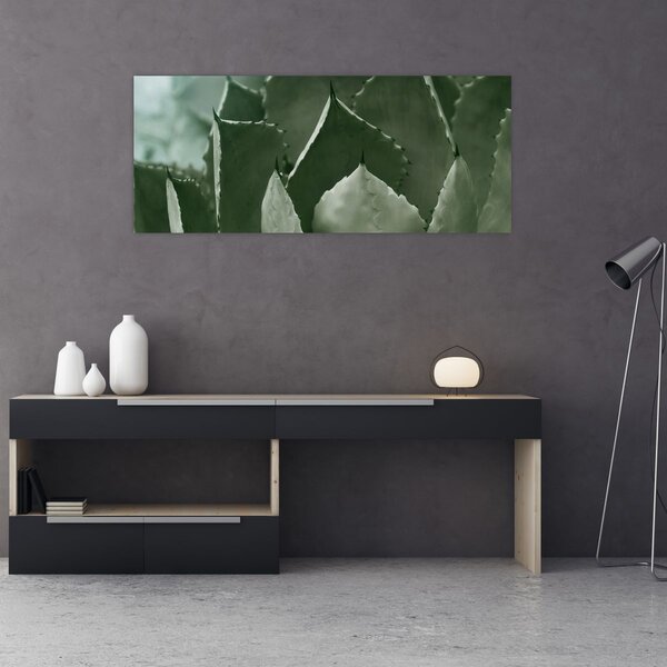 Kép - Zöld agávé (120x50 cm)