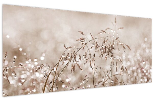 Kép - rét barna árnyalatokban (120x50 cm)