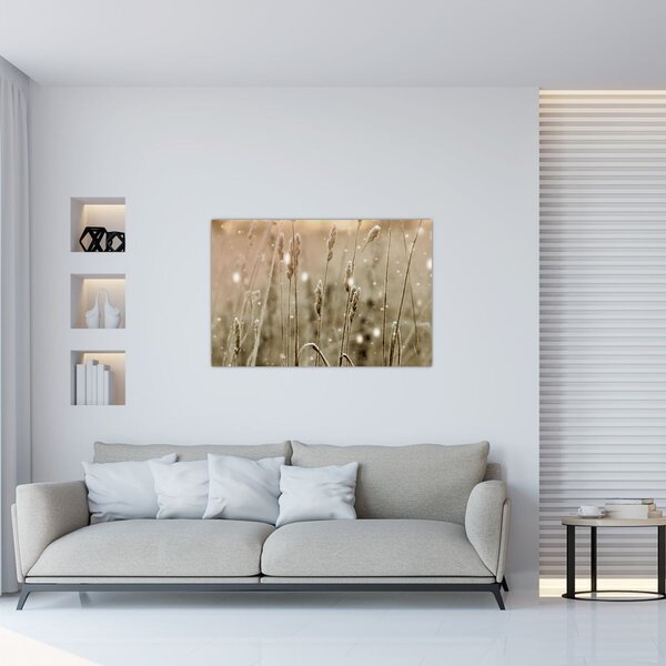 Kép - Harmonikus rét (90x60 cm)