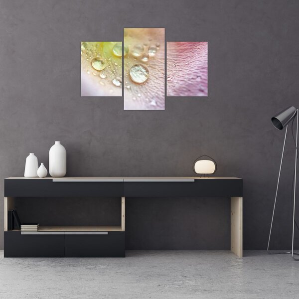 Kép - Harmatcseppek (90x60 cm)