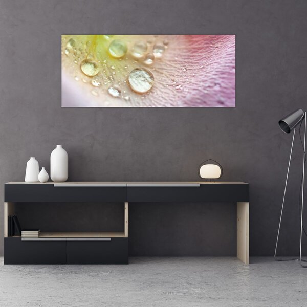 Kép - Harmatcseppek (120x50 cm)