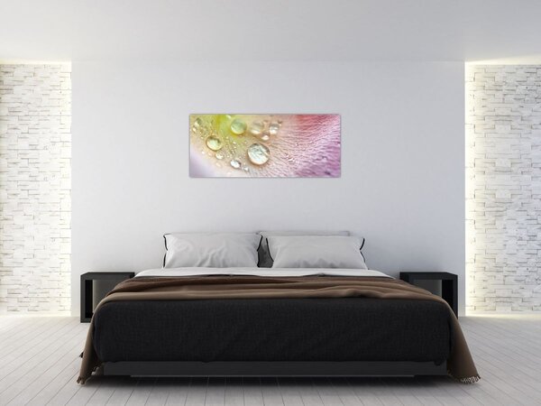 Kép - Harmatcseppek (120x50 cm)