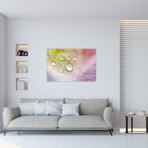 Kép - Harmatcseppek (90x60 cm)