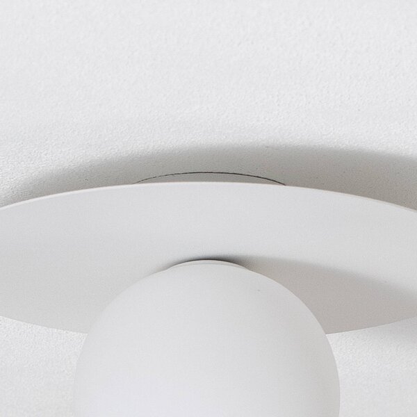 TK Lighting Pixie mennyezeti lámpa, fehér, üveg, Ø 25 cm, gömb, G9, dimmelhető, Fehér / opál, Nappali / Étkező, fém, Modern