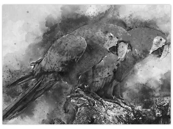 Kép - Akvarell papagájok (70x50 cm)