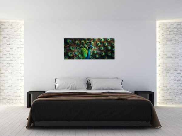 Kép – Pávatoll (120x50 cm)