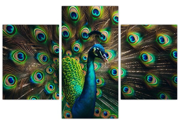 Kép – Pávatoll (90x60 cm)