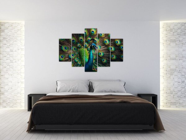 Kép – Pávatoll (150x105 cm)