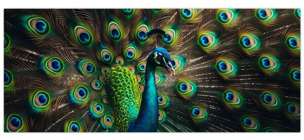 Kép – Pávatoll (120x50 cm)