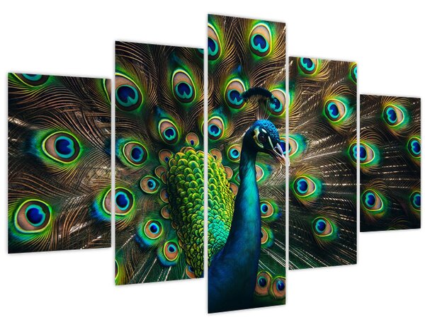 Kép – Pávatoll (150x105 cm)