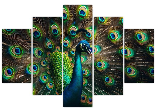 Kép – Pávatoll (150x105 cm)