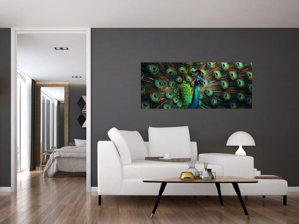 Kép – Pávatoll (120x50 cm)