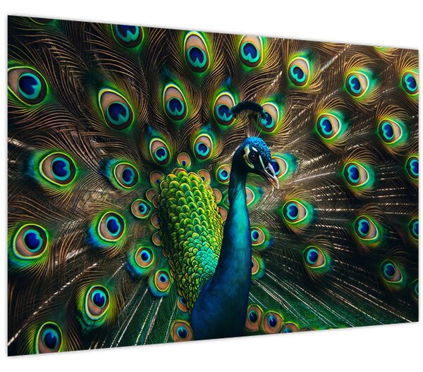Kép – Pávatoll (90x60 cm)