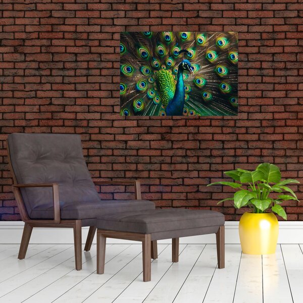 Kép – Pávatoll (70x50 cm)