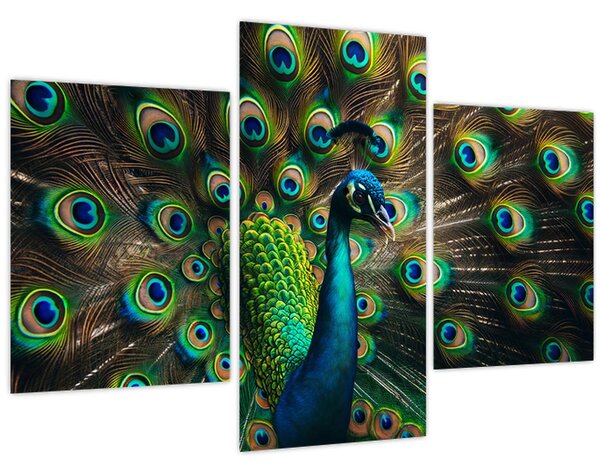 Kép – Pávatoll (90x60 cm)