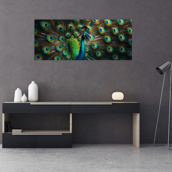 Kép – Pávatoll (120x50 cm)