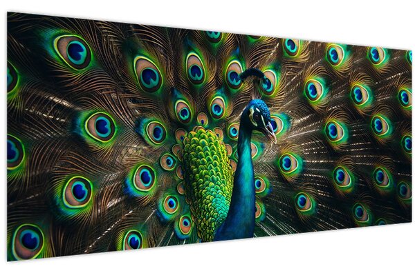 Kép – Pávatoll (120x50 cm)