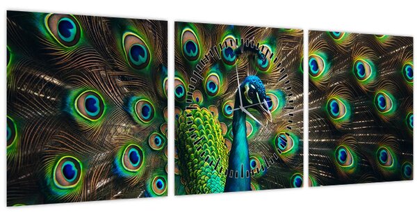 Kép – Pávatoll (órával) (90x30 cm)
