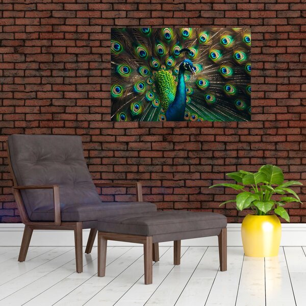 Kép – Pávatoll (90x60 cm)
