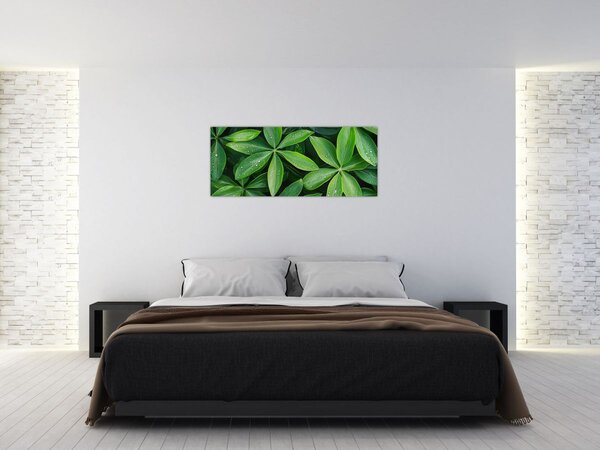 Kép - Levelek harmatcseppekkel (120x50 cm)