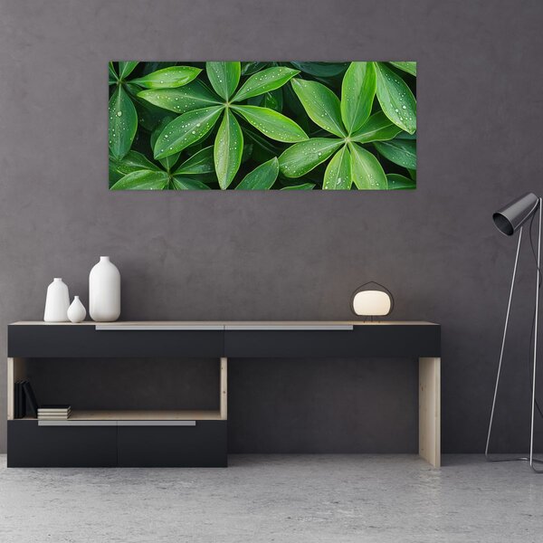 Kép - Levelek harmatcseppekkel (120x50 cm)