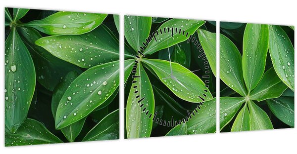 Kép - Levelek harmatcseppekkel (órával) (90x30 cm)