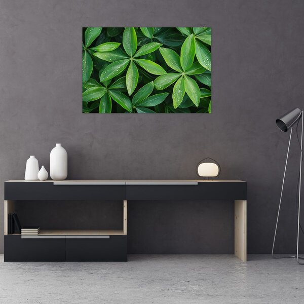 Kép - Levelek harmatcseppekkel (90x60 cm)