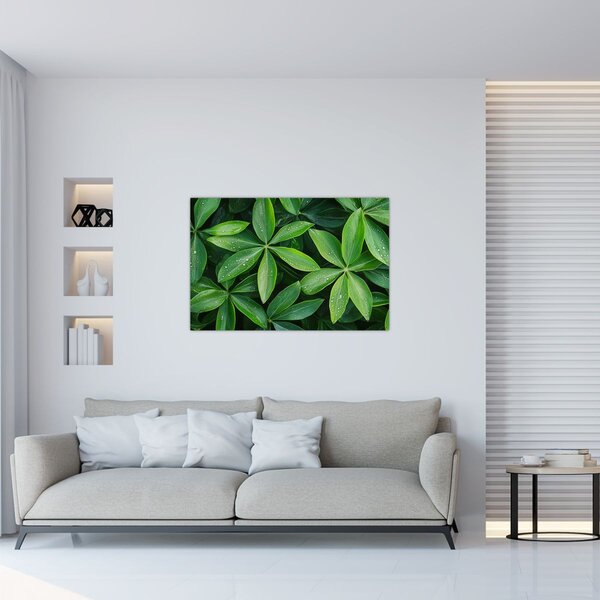 Kép - Levelek harmatcseppekkel (90x60 cm)
