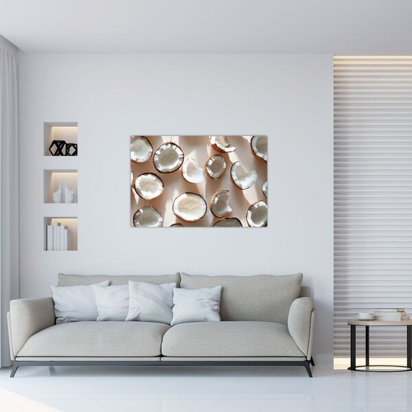 Kép - Kókuszdiók (90x60 cm)
