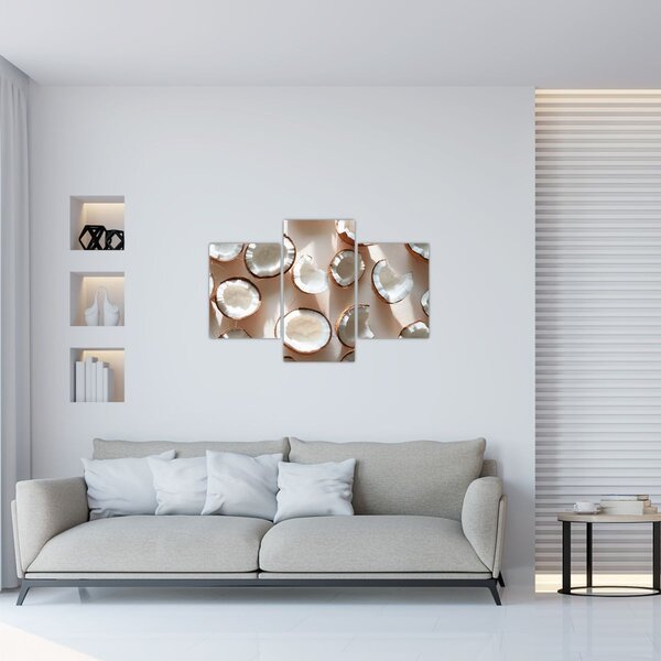 Kép - Kókuszdiók (90x60 cm)