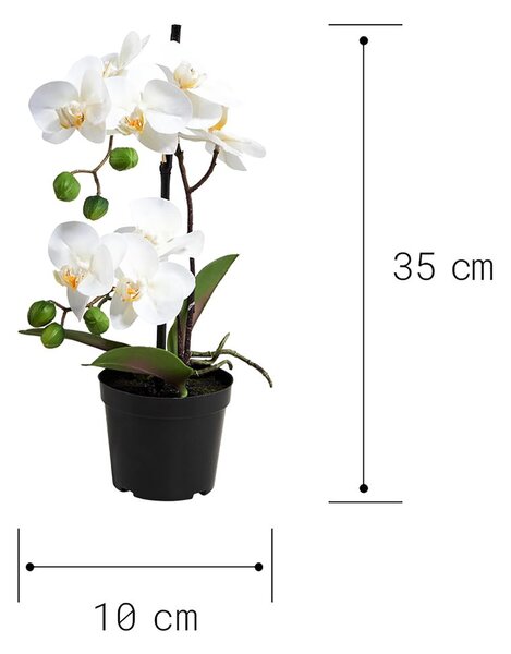 FLORISTA cserepes orchidea, 35 cm