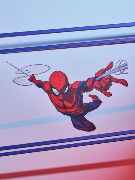 Sinsay - Falmatrica Spider-Man - többszínű