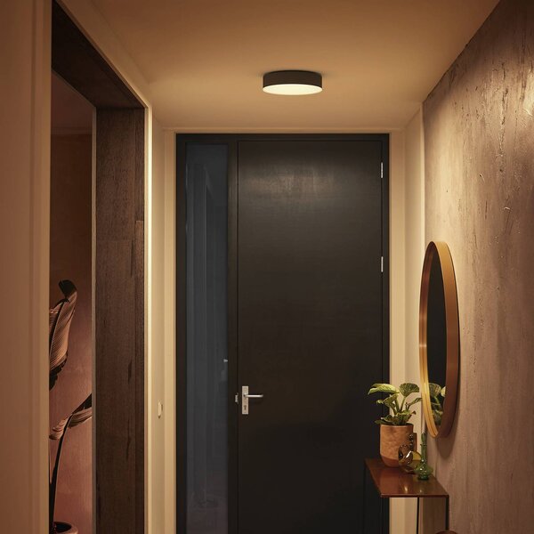 Philips Hue Enrave LED mennyezeti lámpa 26.1cm fekete, dimmelhető, Fekete, Nappali / Étkező, fém, Modern