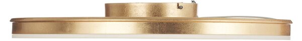 Helestra Sona LED dimm. menny. lámpa Ø60cm arany, dimmelhető, Sárgaréz / arany, Folyosó, fém, Modern