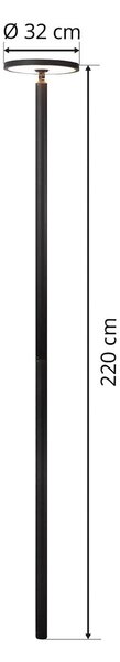 Lucande LED kültéri világítás Akito, antracit, 220 cm, IP54, Fekete, Alumínium, Modern
