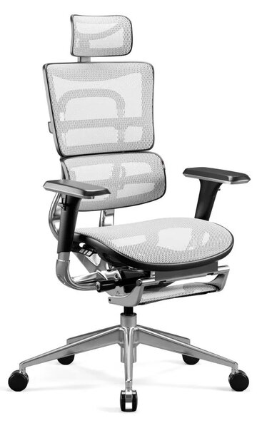 Diablo Chairs V-Master Ergonomikus Irodai Szék Fekete/Fehér