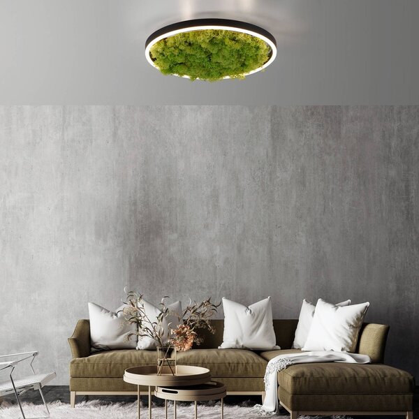 JUST LIGHT. GmbH LED mennyezeti lámpa Zöld Ritus, moha, dimmelhető Ø39.3cm,, Zöld, Nappali / Étkező, Modern