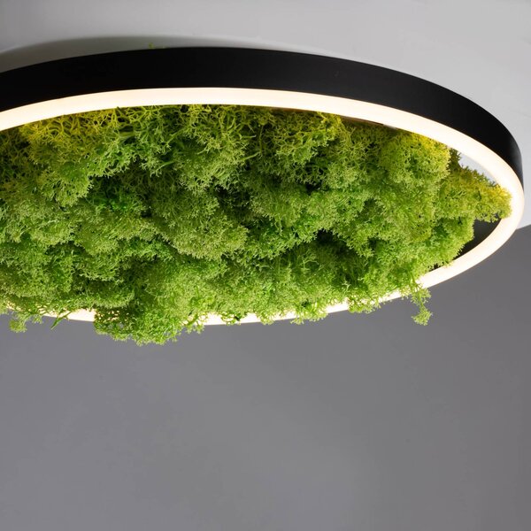 JUST LIGHT. GmbH LED mennyezeti lámpa Zöld Ritus, moha, dimmelhető Ø39.3cm,, Zöld, Nappali / Étkező, Modern
