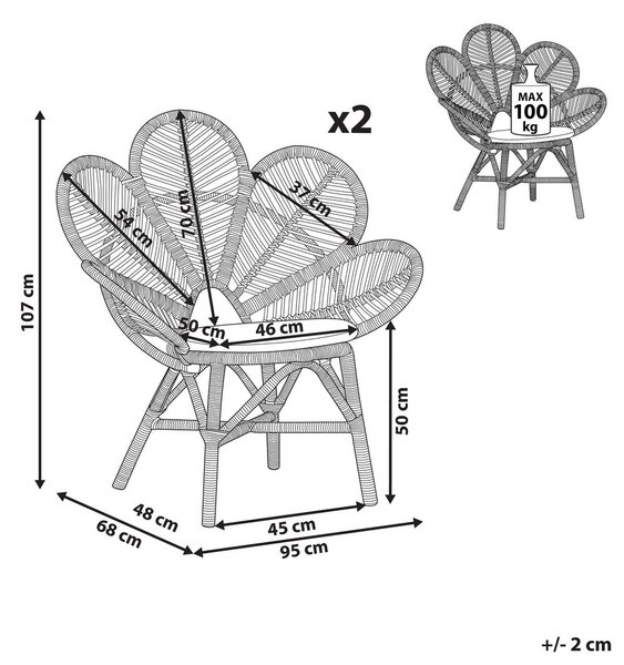 Kétdarabos páva alakú szék szett FLORENTINE Rattan Természetes